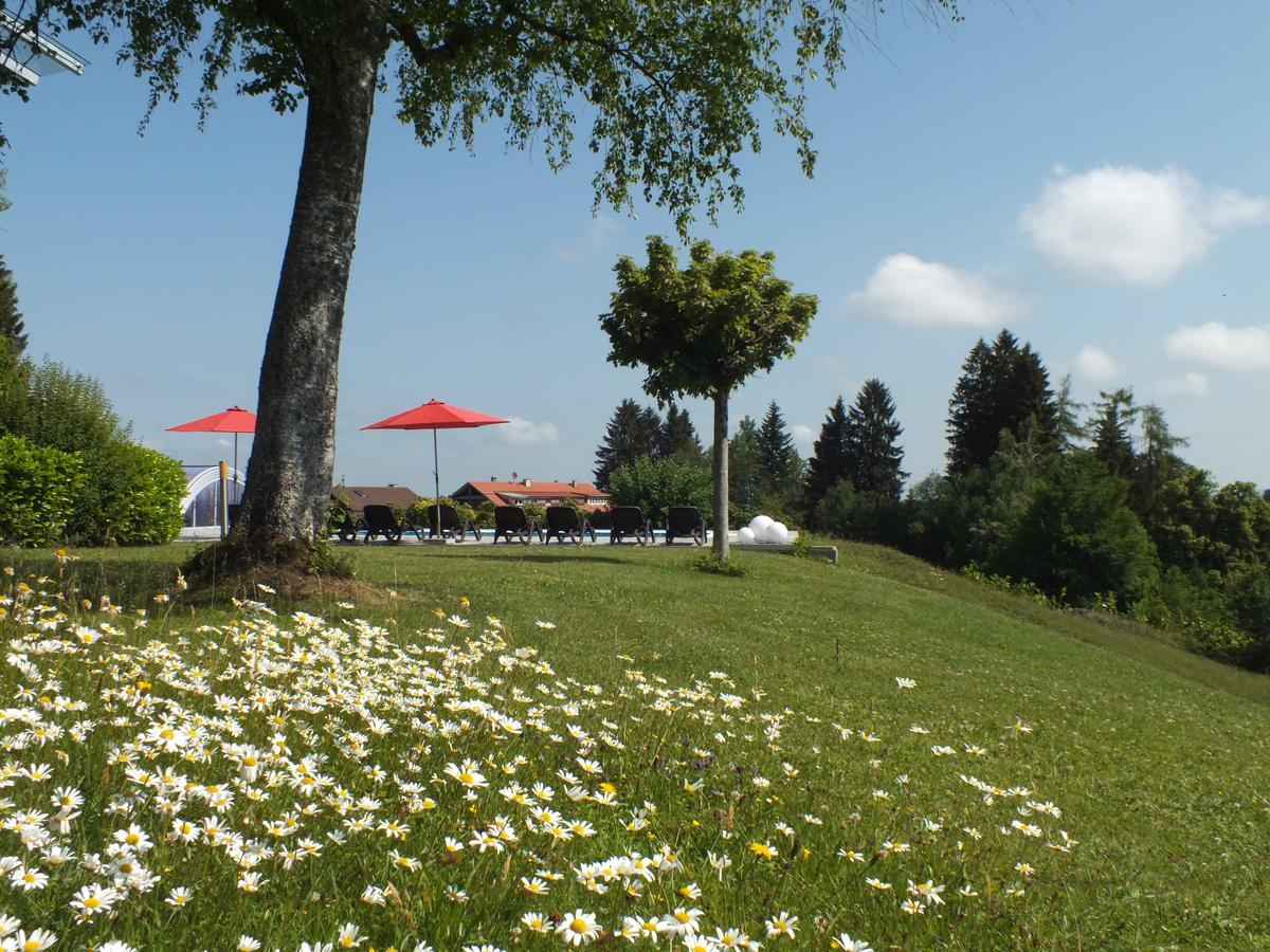 Gastehaus Pension Bergwald Scheidegg Bagian luar foto