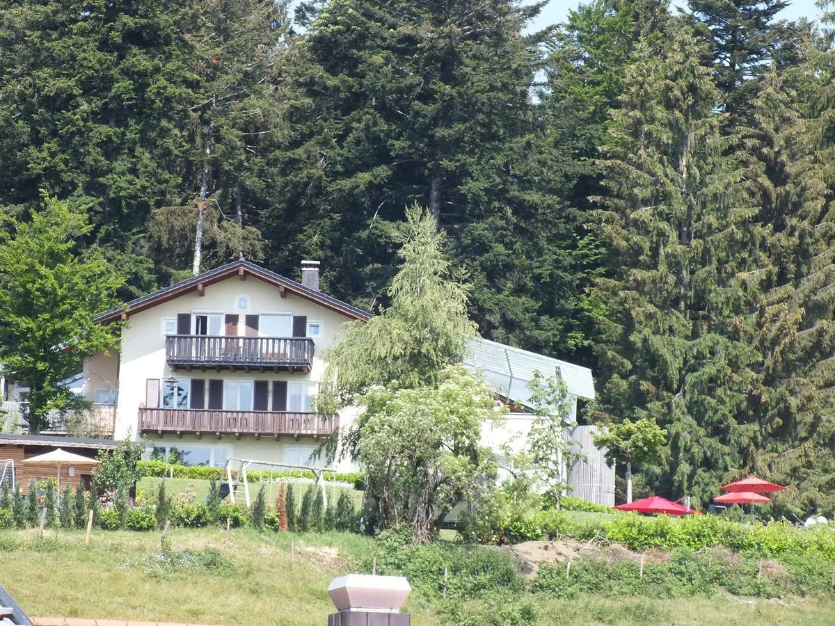 Gastehaus Pension Bergwald Scheidegg Bagian luar foto